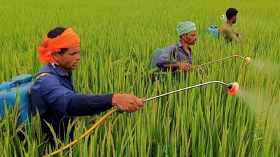 1777295831 representative image