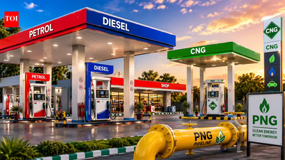 fuel price hike could change what indians buy next heres how